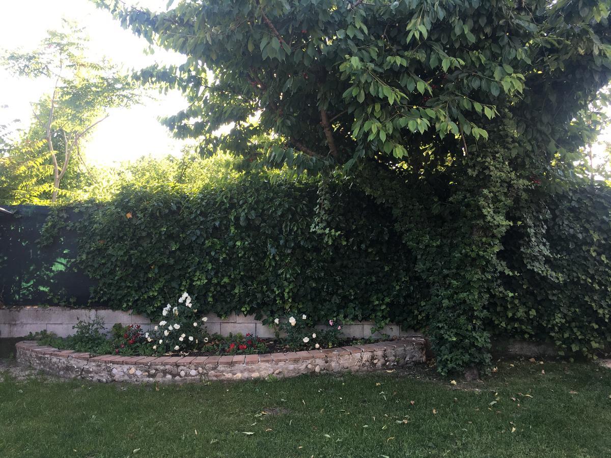 Ca' Le Rose Bed and Breakfast Bagnolo San Vito Buitenkant foto